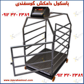 راهنمای خرید باسکول دامداری در سال ۱۴۰۴ | نکات مهم قبل از خرید